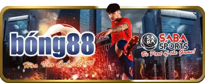 Cá cược bóng rổ tại vvwin